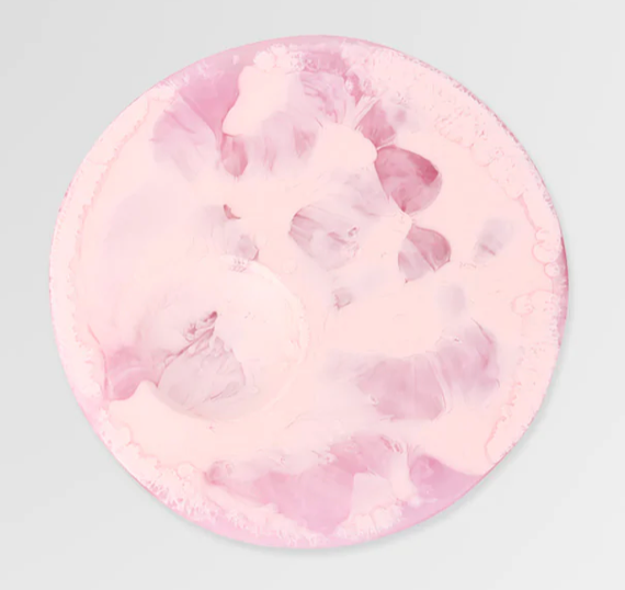 Dinosaur Designs Small Platter Moon Cheese - Shell Pink